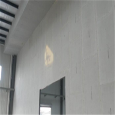 揭东新型建筑材料掺多种工业废渣的ALC|ACC|FPS模块板材轻质隔墙板